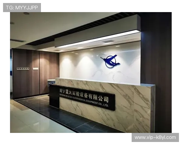 深入探讨K8凯发中文站的安全性与用户保障